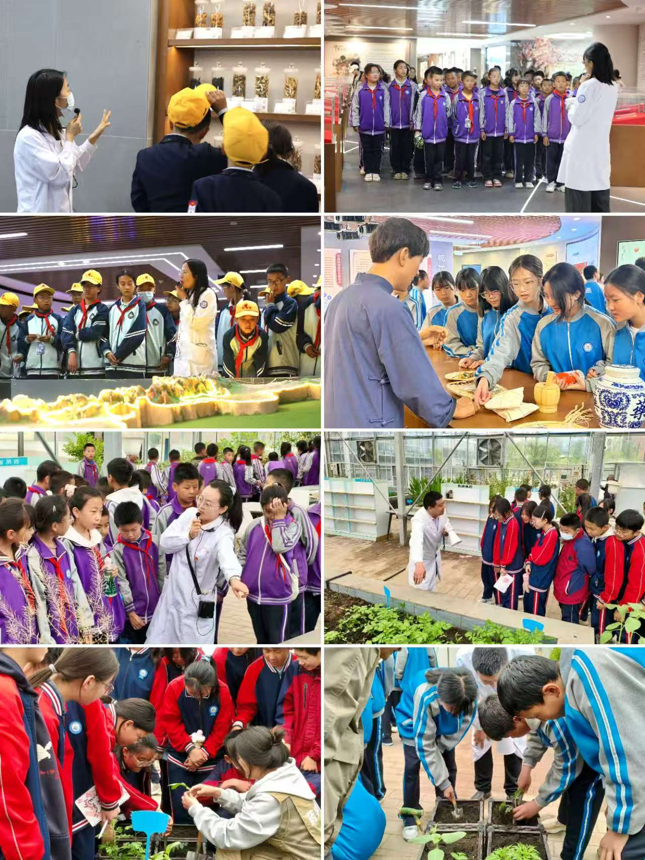 2026年药学院职业教育活动周系列活动（三）—— 药香润童心 科普启新程