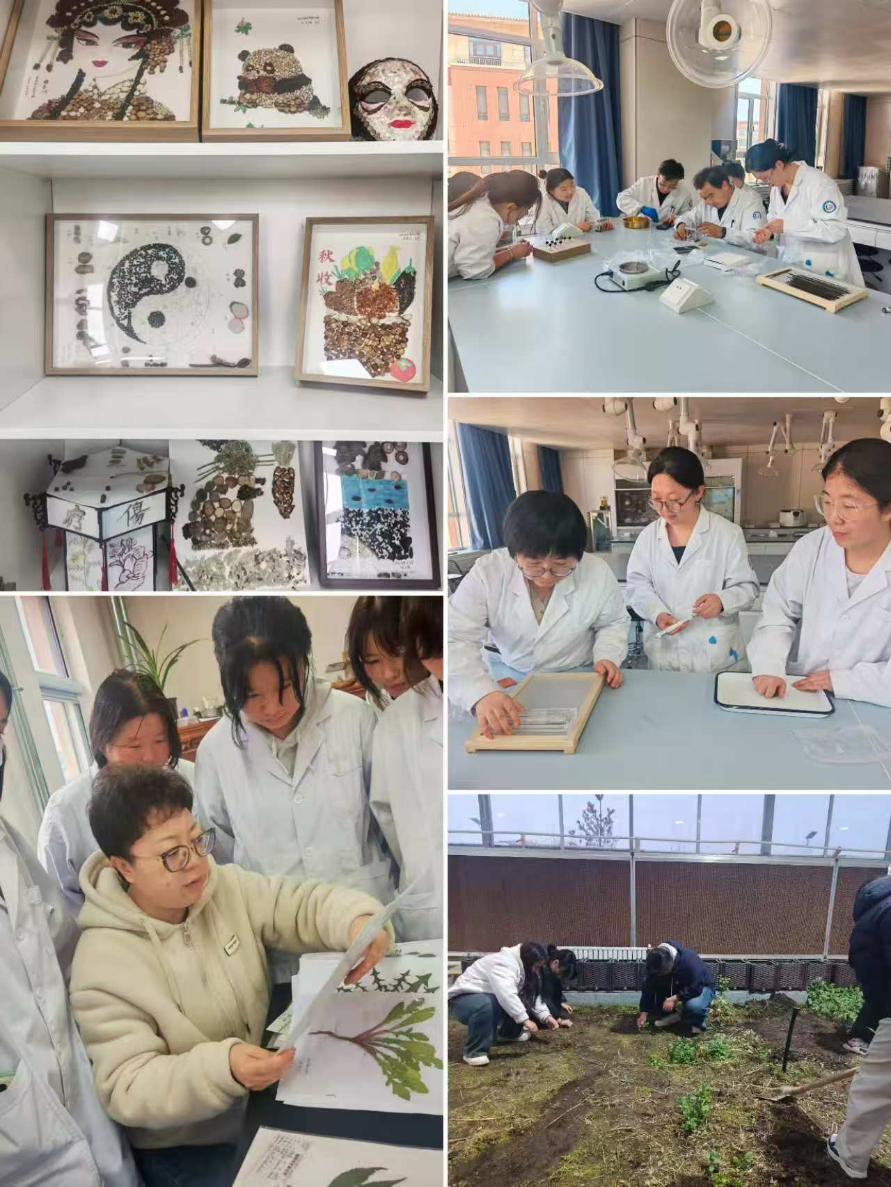 2026年药学院职业教育活动周系列活动（一）—— 技能砺技 药韵传薪